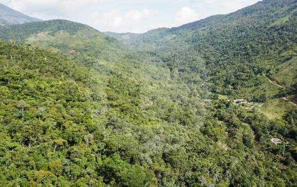 El paisaje en la vereda La Habana, de San Luis, Antioquia, uno de los sitios donde la estrategia BanCO2, a través de Cornare, aporta para la conservación del bosque. FOTO esteban vanegas