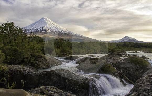 Expertos consideran que comprender a la naturaleza como fuente de la salud humana es el punto de partida y filosófico para lograr días venideros de más bienestar. FOTO Carlos Velásquez