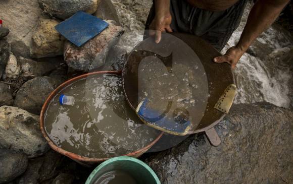 Mineros artesanales solo pueden vender 35 gramos de oro al mes. De las ventas que registren depende su clasificación para las ayudas estatales dirigidas a los más pobres. FOTO Esteban Vanegas