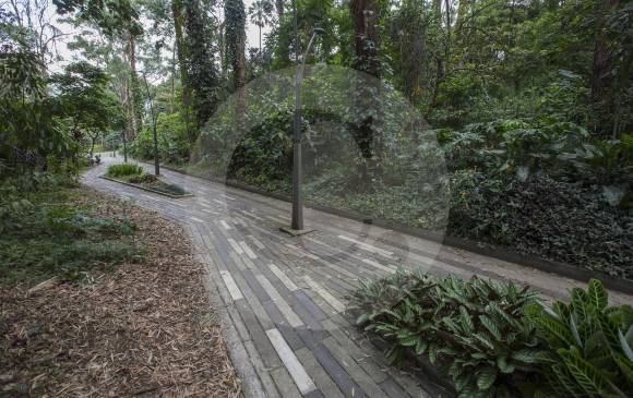 Parque Ambiental de la Frontera, el más amplio de El Poblado. FOTO manuel saldarriaga