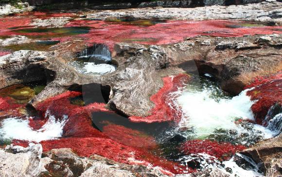 Los proyectos de exploración de hidrocarburos y los impactos ambientales negativos en Caño Cristales son las razones que más les preocupan a los ambientalistas. FOTO Archivo El Colombiano