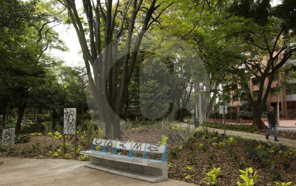 Esta es una muestra del recorrido vandálico que desconocidos hicieron para dejar su marca en el lugar. FOTO edwin bustamante