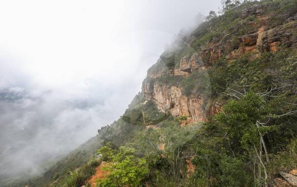 Paisaje de Santander en el Cañón del Chicamocha. El escenario de esta imagen está en la vereda La Mojarra, del municipio de Los Santos. FOTO Esteban Vanegas.
