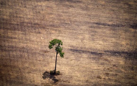 Imagen de la deforestación en Brasil tomada en octubre de 2014 en un sobrevuelo de Greenpeace. FOTO: AFP