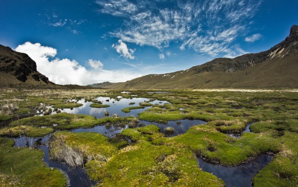 Paisaje del Parque Nacional Natural Los Nevados. FOTO PNN/Juan Hincapié/José I. Cano