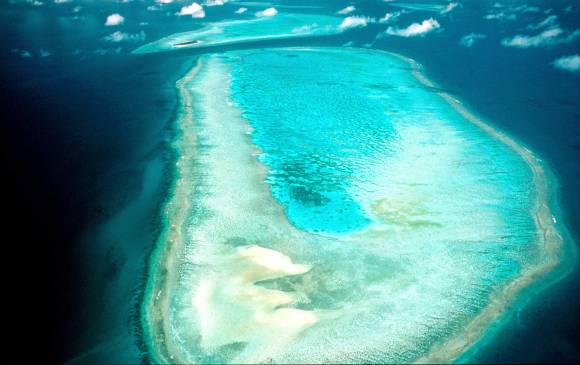 Los arrecifes se blanquean periódicamente y luego se recuperan, pero los científicos temen que el proceso actual pueda ser irreversible. FOTO AFP