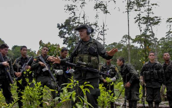 La Policía Antinarcóticos ha erradicado de manera forzosa 5.710 hectáreas de coca en Tumaco, durante el último año. FOTO Colprensa