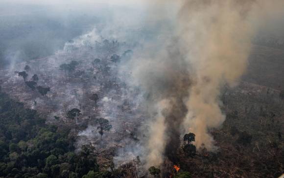 Para evitar la destrucción de la selva, el Pacto de Leticia se compromete a fortalecer la participación de los pueblos indígenas en la conservación. FOTO GetyyImages