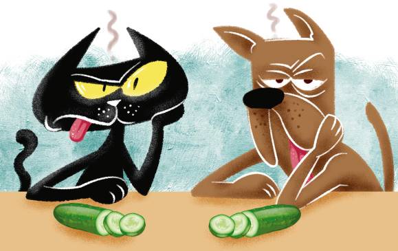 ilustración Esteban parís