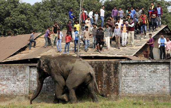 FOTO REUTERS