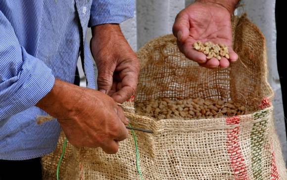 Desde el 10 de septiembre del 2014 el grano no se ubicaba por debajo de $700.000. FOTO ARCHIVO