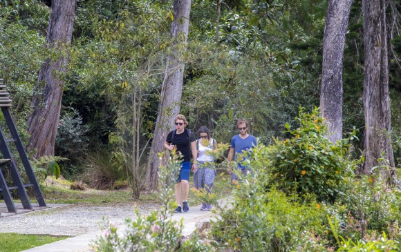 Caminar, en medio de la vegetación y el sonido de las aves y de arroyos cristalinos, es un atractivo para los visitantes del parque Arví, en especial para los extranjeros. FOTO Juan Antonio Sánchez