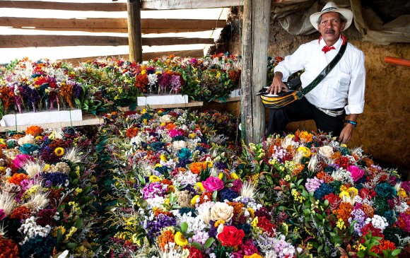 La tradición silletera abarca la vida en una finca silletera, cultivar las flores, participar en el Desfile de Silleteros, todo lo que significa ser silletero. FOTO Henry Agudelo