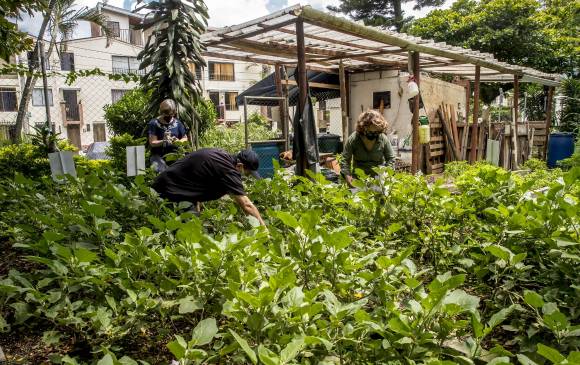 En la Unidad Nueva Aldea, de Guayabal (suroccidente de Medellín), el proceso ambiental inició con las ecohuertas, luego pasaron a ecoladrillos y hoy en día recuperan cinco toneladas mensuales para reciclaje. FOTO juan antonio sánchez