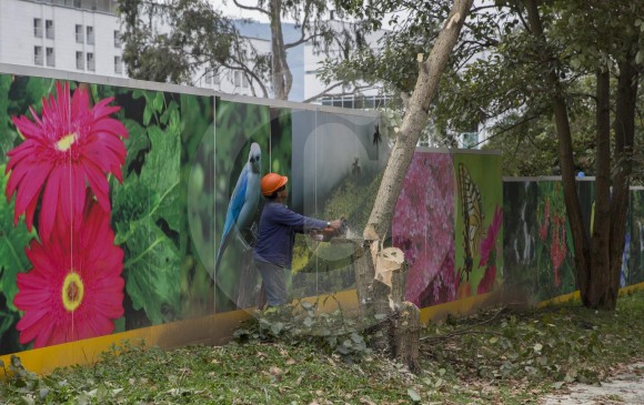 Polémica tala de árboles que se hizo en la carrera 80 de Medellín para construir un centro comercial. FOTO edwin bustamante