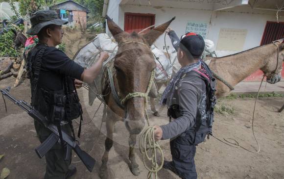 Miembros del Frente 18 de las Farc son los que se encuentran en la zona veredal transitoria de Santa Lucía. FOTO Donaldo Zuluaga