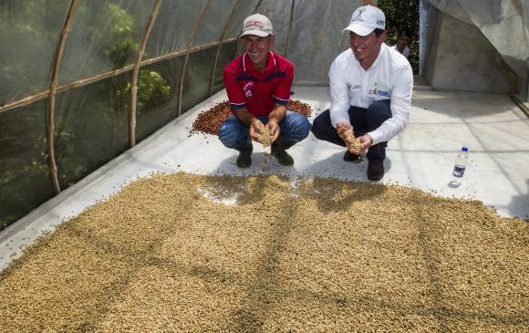San Carlos quiere dejar de ser un pueblo fantasma