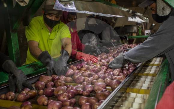 La reactivación económica será el centro del presupuesto, la agricultura está en la lista como prioridad, al igual que salud, educación, vivienda e infraestructura. FOTO Andrés Camilo Suárez Echeverry