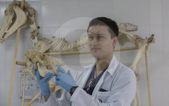 En las investigaciones, Julio hace parte de un equipo integrado también por un criminalista y un abogado. Según el caso, vinculan psicólogo, antropólogo y zootecnista. FOTO Manuel Saldarriaga