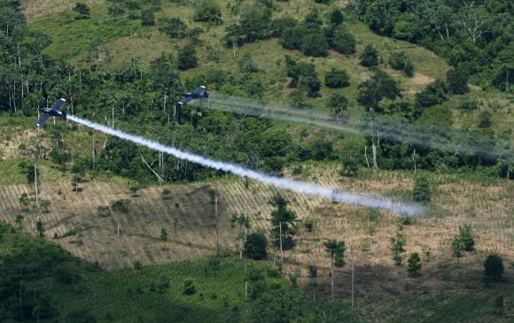 Los cultivos ilícitos podrían continuar su dinámica de crecimiento, luego de que el Gobierno suspendiera fumigaciones con glifosato.