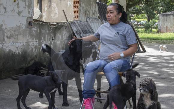 Adriana Suárez cuida el predio y atiende los caninos y felinos que llegan al refugio de La Rinconada. FOTO róbinson sáenz