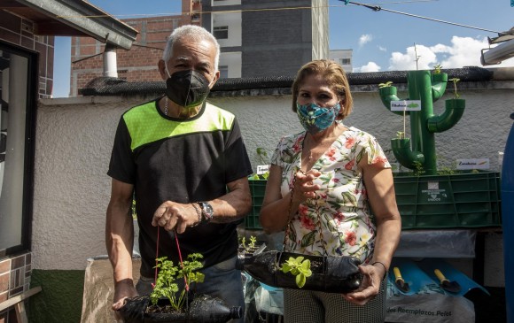 Jairo Vélez y su esposa, Marleni Gil, cuentan que ya se les acabó el espacio en la terraza, en su casa en Sabaneta, pero pintan y siembran en botellas reciclabes. FOTO camilo suárez