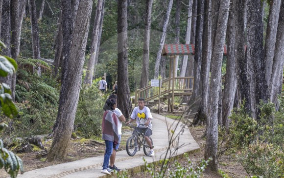Arví está en proceso de definir senderos para bicicletas. Analizan su impacto ambiental. FOTOS Juan A. Sánchez