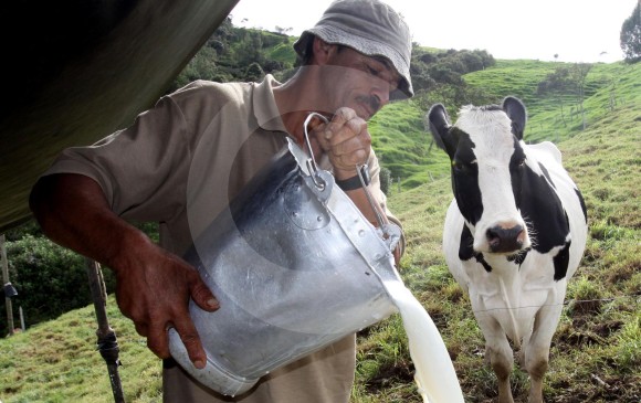 Según el Dane, solo en agosto las importaciones de leche y productos lácteos aumentaron un 8,5 %. FOTO Archivo