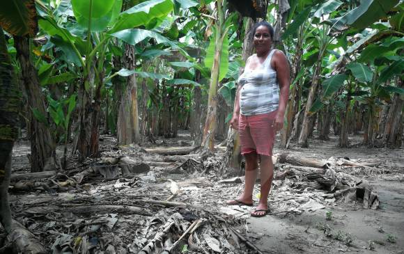 Rosa Elena Jaramillo.