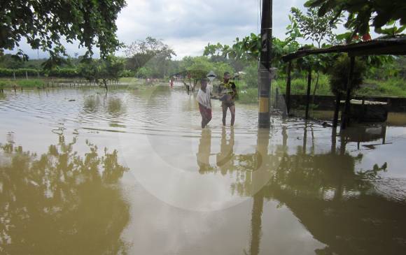 El río Bijagual, cada que llueve fuerte en la serranía de Abibe, donde nace, se desborda en este sector de Casa Verde, en Carepa, límites con el municipio de Apartadó, en Urabá. FOTO ARCHIVO