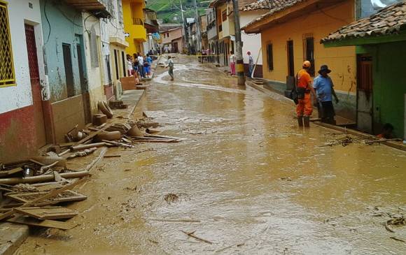 Fotos: cortesía Dapard
