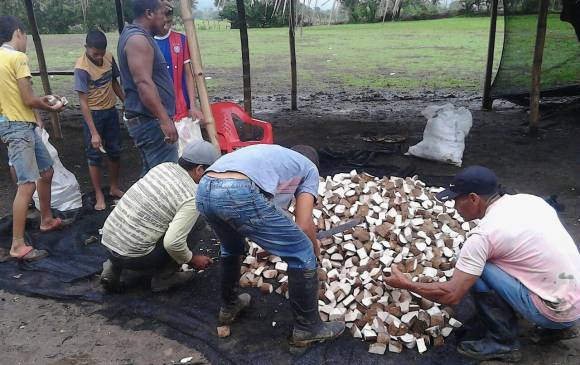 Las biches y las maduras del agro paisa para exportar
