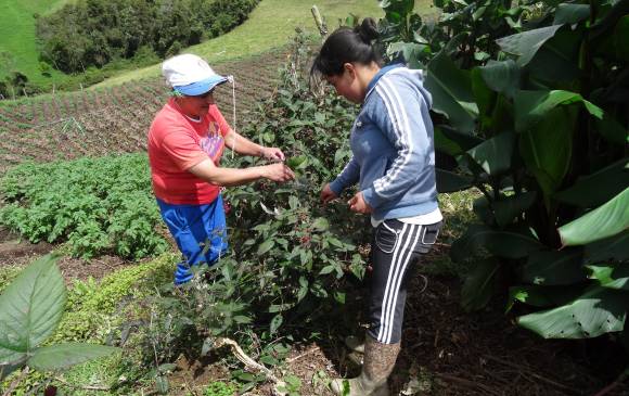 Cuidadores de bosques aprenden de agroturismo 