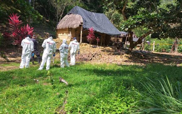 Este es el rancho en el cual ocurrió la masacre de cuatro personas en el corregimiento Puerto Claver, de El Bagre, el pasado 11 de diciembre. Al parecer, esto provocó la incursión armada de este domingo en Caucasia. FOTO: CORTESÍA.