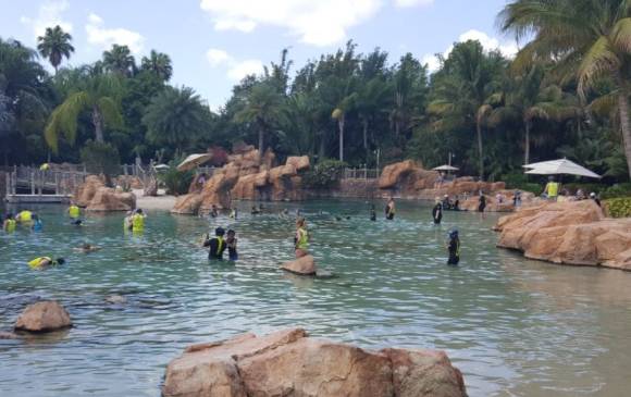 Estos son los 5 mejores parques de diversiones del mundo