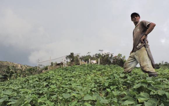 391.951 hectáreas formalizadas se han entregado a familias de todo el país en los últimos 20 meses. FOTO Cortesía ANT
