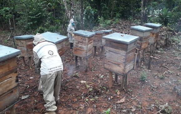Mujeres del Bajo Cauca antioqueño reactivan la economía de la región