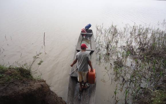 En la foto deberían aparecer dos islas denominadas Carimagua 1 y 2, pero estas se mantienen inundadas casi todo el año por el río Vichada. FOTO Cortesía FRV