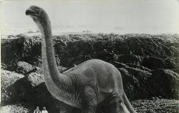 FOTO ARCHIVO