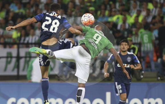 Miguel Borja, en la mira de muchos equipos internacionales tras sus buenas actuaciones en la Copa Libertadores y en la Suramericana, de la cual es el goleador con 6 tantos. FOTO manuel saldarriaga 