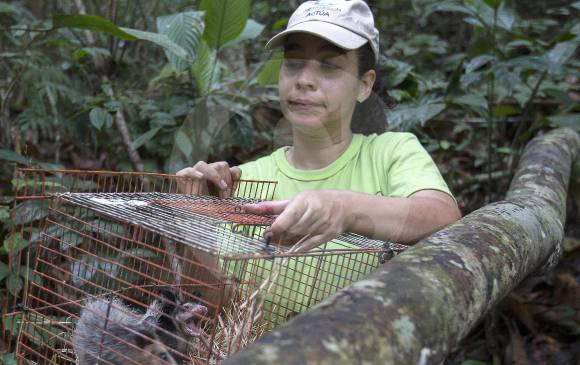Con las comunidades se gesta la protección del medio ambiente y sus recursos de flora, fauna y acuíferos. FOTO donaldo zuluaga