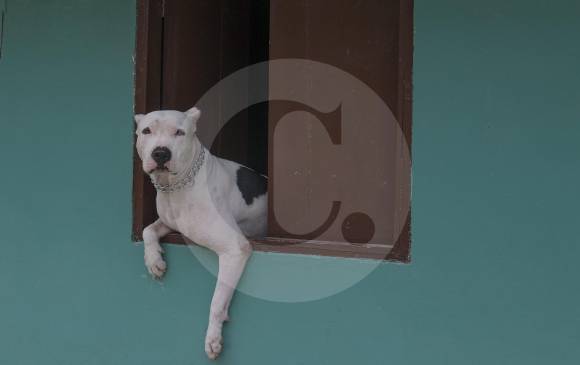 FOTO ARCHIVO DONALDO ZULUAGA
