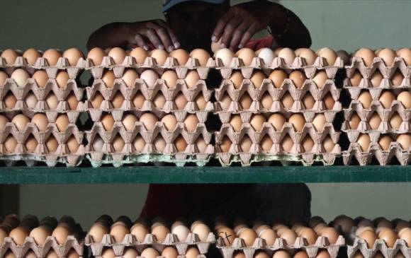 Los costos de producción de los avicultores están subiendo entre un 30 y 40 por ciento por la devaluación. FOTO M. SALDARRIAGA