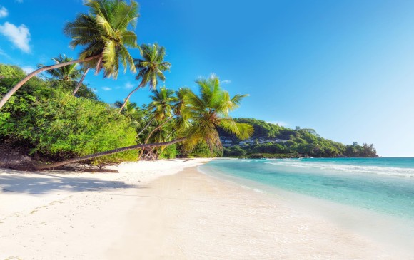 Las playas de Magüipi, en Buenaventura; Jhonny Cay, en San Andrés; Azul, en La Boquilla, en Cartagena, y Bello Horizonte, en Santa Marta, tienen certificación Bandera azul. Foto: Shutterstock