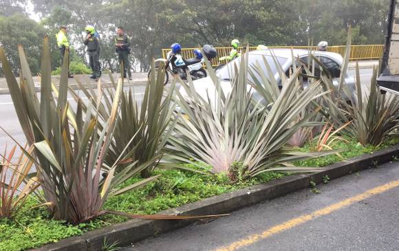 FOTO CORTESÍA