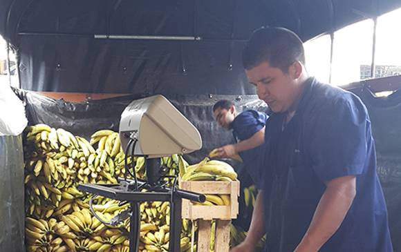En el mismo camión que llegan los productos al local comercial La Flor del Plátano, los pesan y los empacan para ser distribuidos.