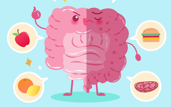 El intestino está conectado al cerebro y los nervios pueden volverse más activos durante momentos de estrés, lo que provoca que el colon sea más sensible, se comprima o se contraiga. Foto: ShutterStock
