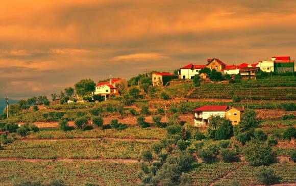 En las regiones montañosas también se producen los vinos de Portugal. Algunas llegan hasta los 1000 metros. FOTO Cortesía Wines of portugal