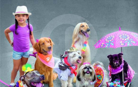 Las mascotas salen con sus mejores accesorios de feria. FOTO Jaime Pérez