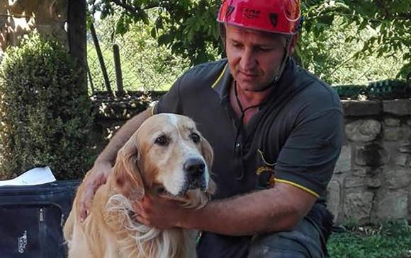 Romeo, es el nombre del perro que fue rescatado debajo de los escombros en Amatrice, una de las ciudades más golpeadas por el terremoto en Italia. FOTO AP